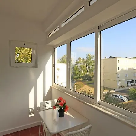 Olivais Design Flat *