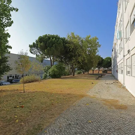 Apartment Olivais Design Flat